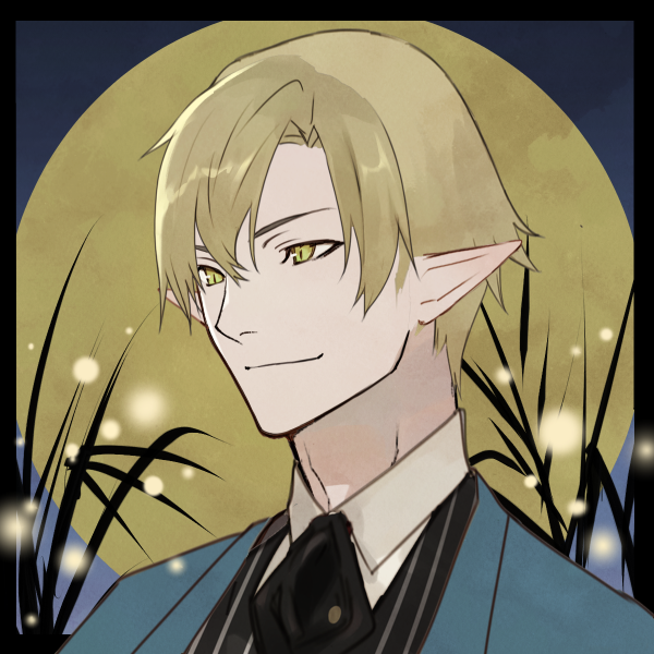 SW2.0 アロイジウス・シュタウピッツ