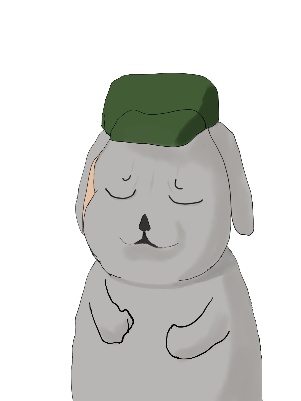 SW2.0 ＵＳＭ・サー・ダーミッツ