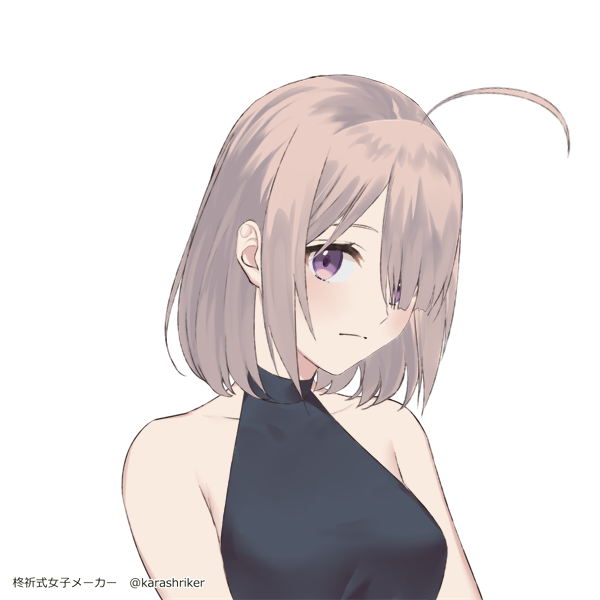 SW2.0 アイアス・ブウクリーイェ