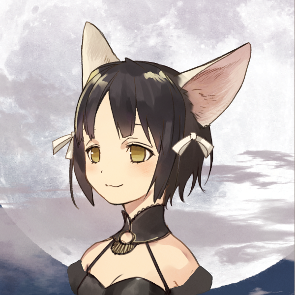 SW2.0 （引退）シトロン・ジェネヴァ